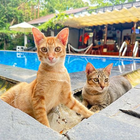 Вілла Have Fun Фукуок Екстер'єр фото
